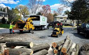 Best Leaf Removal  in Munsey Park, NY
