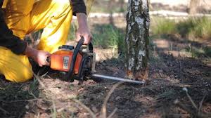 Best Soil Testing and Treatment  in Munsey Park, NY